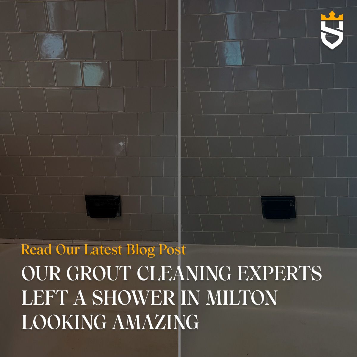 Our Grout Cleaning Experts Left a Shower in Milton Looking Amazing